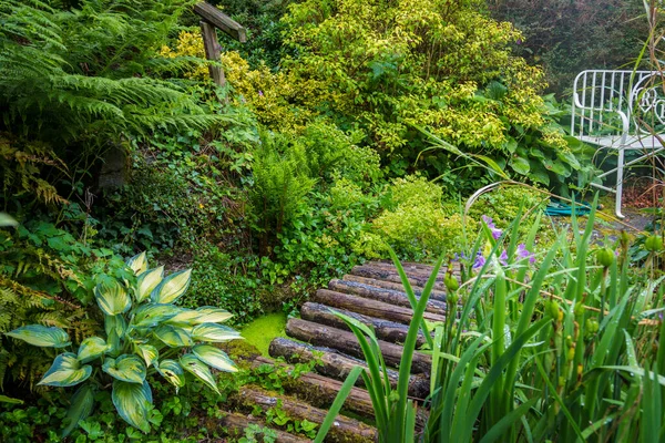 Jardín Del Hemisferio Sur Sheeps Head Irelandk —  Fotos de Stock