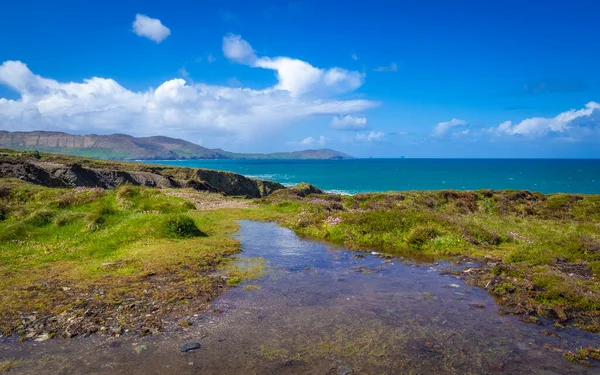 Espectaculares Falésias Paisagens Allihies Península Beara Condado Cork Irlanda — Fotografia de Stock