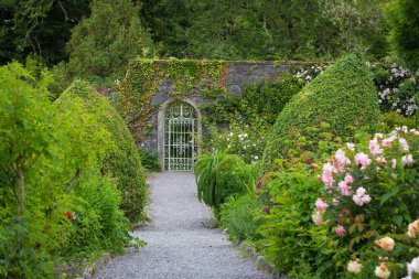 Garinish Adası 'ndaki güzel bahçe, Glengarriff, West Cork, İrlanda