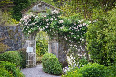 Garinish Adası 'ndaki güzel bahçe, Glengarriff, West Cork, İrlanda 