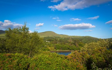 Garinish Adası, Glengarriff, West Cork, İrlanda 'daki harika park ve bahçe.