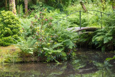 Küçük ada Inish Beg, West Cork, İrlanda 'da güzel bir dinlenme yeri.
