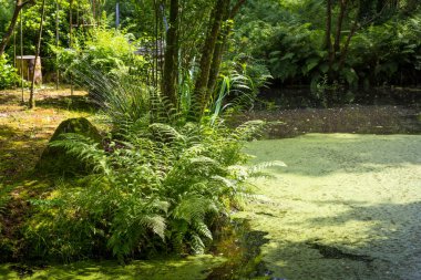 Küçük ada Inish Beg, West Cork, İrlanda 'da güzel bir dinlenme yeri.