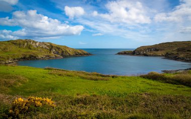 Sherkin Adası 'ndaki okyanus kayalıkları, West Cork, İrlanda