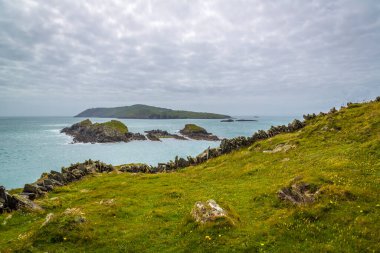 Sherkin Adası 'ndaki okyanus kayalıkları, West Cork, İrlanda