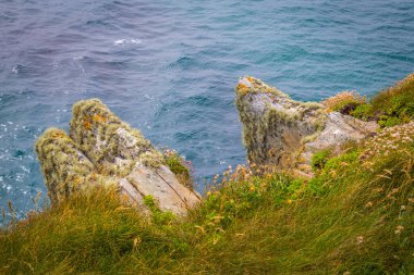 Sherkin Adası 'ndaki okyanus kayalıkları, West Cork, İrlanda