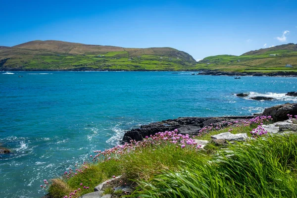Beara Yarımadası 'nın kuzeyindeki muhteşem kıyı şeridi ve manzaralar, County Cork, İrlanda