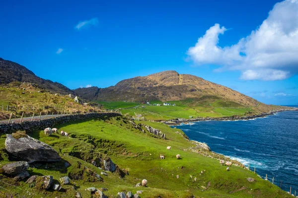 Spectaculair Landschap Aan Noordkant Van Het Schiereiland Beara Ierland — Stockfoto