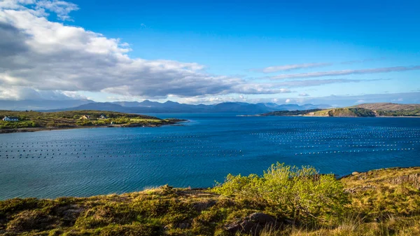 アイルランド ベア半島の北側のロッキー海沿岸 — ストック写真