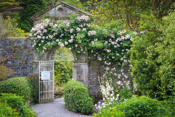 Piękny Ogród Wyspie Garinish Glengarriff West Cork Irlandia — Zdjęcie stockowe