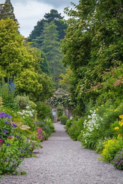 Piękny Ogród Wyspie Garinish Glengarriff West Cork Irlandia — Zdjęcie stockowe