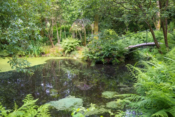 小さな島の美しい地元のレクリエーションエリア Inish Beg West Cork Ireland — ストック写真