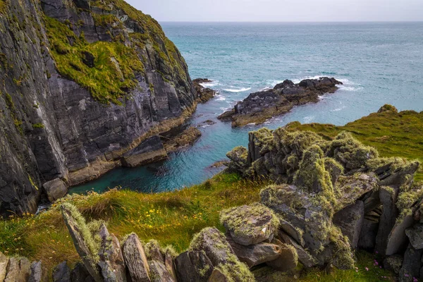 Океанські Скелі Острові Шеркін Західна Корк Ірландія — стокове фото
