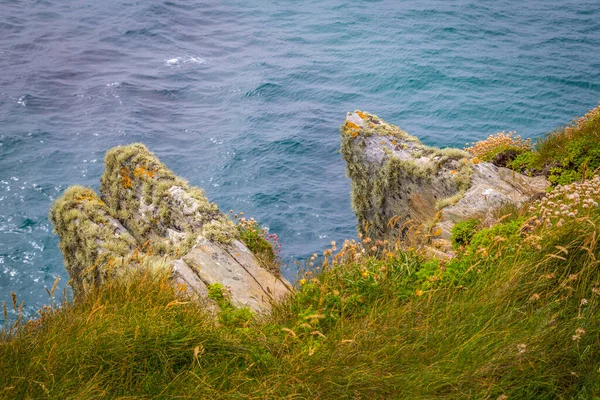 Sherkin Adası 'ndaki okyanus kayalıkları, West Cork, İrlanda