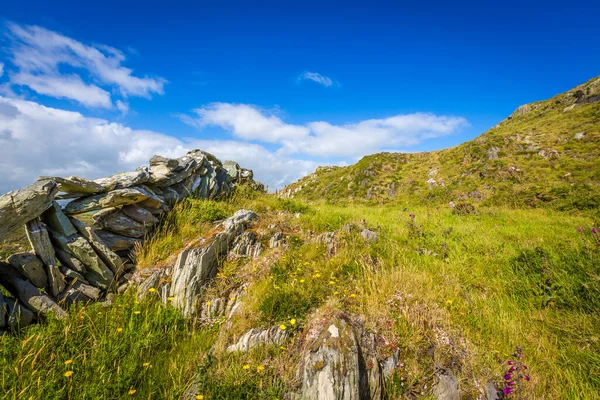 Caminhando Nas Falésias Sherkin Island West Cork County Cork Irlanda — Fotografia de Stock