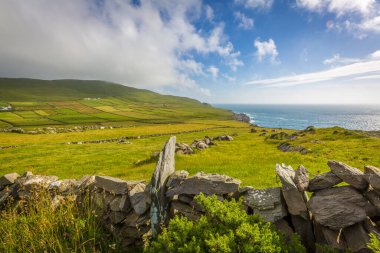 Mizen Yarımadası 'ndaki yeşil alanlar ve taş duvarlar, Batı Cork, İrlanda