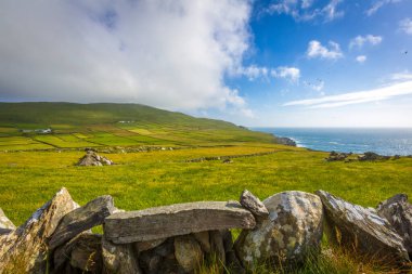 Mizen Yarımadası 'ndaki yeşil alanlar ve taş duvarlar, Batı Cork, İrlanda