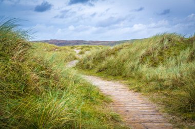 Ardara, Co Donegal, İrlanda yakınlarındaki ilginç taş ve malzemelerle Maghera Mağaraları 'na giden yol. 