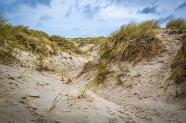 Ardara, Co Donegal, İrlanda yakınlarındaki ilginç taş ve malzemelerle Maghera Mağaraları 'na giden yol.