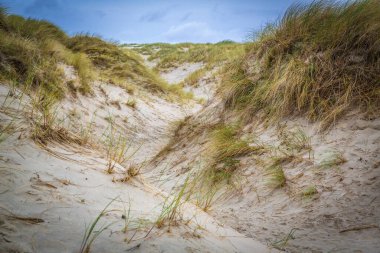 Ardara, Co Donegal, İrlanda yakınlarında ilginç taş ve malzemeler bulunan Maghera mağaraları
