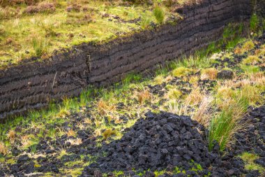 Donegal, İrlanda 'daki dağ manzarası