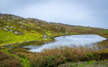 Küçük Ada Inishbofin, Co Galway, İrlanda