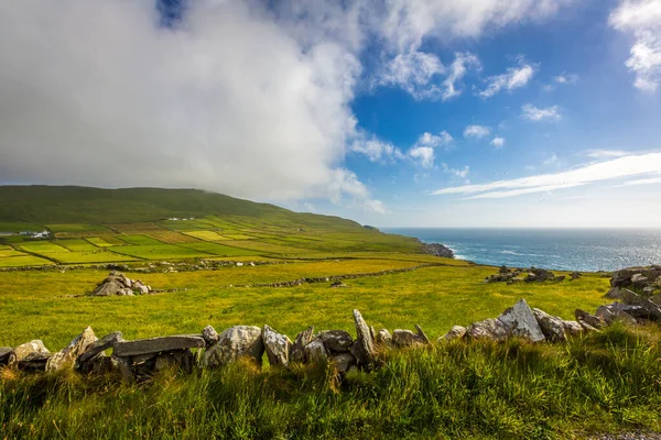 Campos Verdes Muros Piedra Península Mizen West Cork Irlanda — Foto de Stock