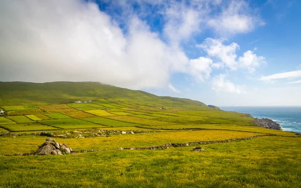 Green Fields Stone Walls Mizen Peninsula West Cork Ireland — Stock Photo, Image