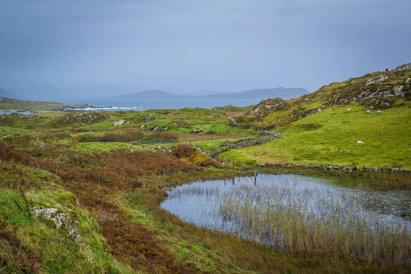 爱尔兰Co Galway的Inishbofin小岛 — 图库照片
