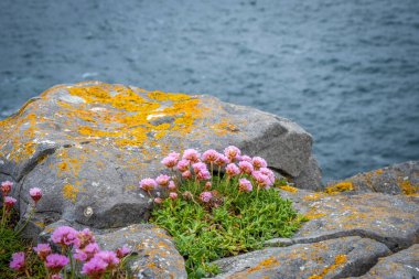 Dun Aonghasa 'daki Cliff Inshmore, Aran Adaları, Co Galway, İrlanda