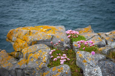 Dun Aonghasa 'daki Cliff Inshmore, Aran Adaları, Co Galway, İrlanda