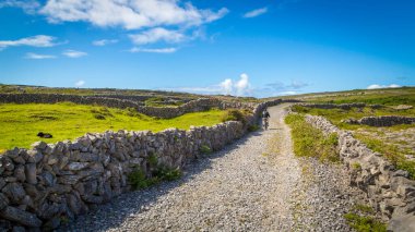Inishmore 'daki taş duvarlar, Aran Adaları, Co Galway, İrlanda 