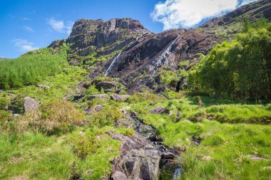 Beara Yarımadası, Co Kerry, İrlanda 'daki Gleninchaquin Parkı' nda yerel dinlenme alanı.