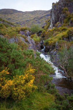 Beara Yarımadası, Co Kerry, İrlanda 'daki Gleninchaquin Parkı' nda yerel dinlenme alanı.  