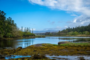 Beara Yarımadası, İrlanda Lauragh 'ın güzel manzarası