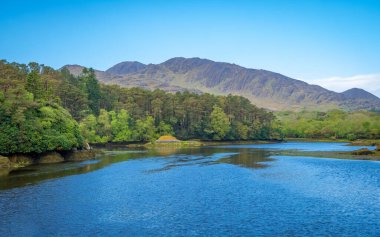 Beara Yarımadası, İrlanda Lauragh 'ın güzel manzarası