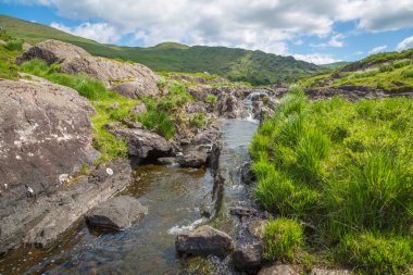 Beara Yarımadası, Co Kerry, İrlanda 'daki Gleninchaquin Parkı' nda yerel dinlenme alanı.  