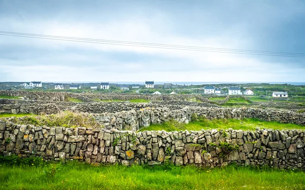 Inishmore 'daki taş duvarlar, Aran Adaları, Co Galway, İrlanda  