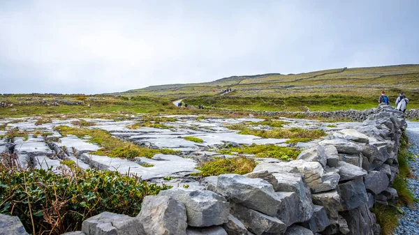 Kamenné Stěny Inishmore Aran Islands Galway Irsko — Stock fotografie