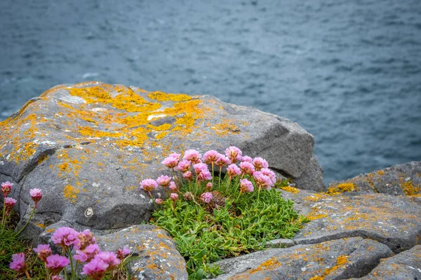 Cliff Dun Aonghasa Inshmore Aran Islands Galway Ireland — стоковое фото