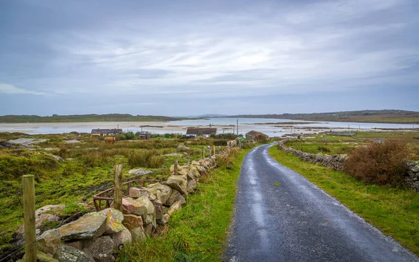 アイルランドのゴールウェイ県のオメイ島への道 — ストック写真