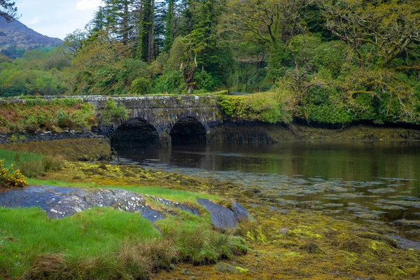 Beau Paysage Lauragh Sur Péninsule Beara Irlande — Photo