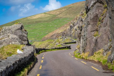 Dingle Yarımadası 'ndaki Slea Head Yolu, Co Kerry, İrlanda 