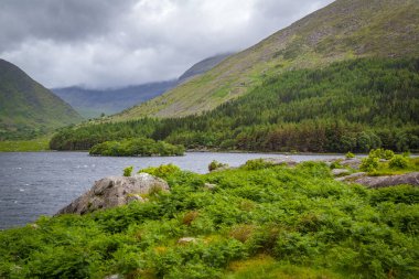 İrlanda 'nın Kerry ilçesinin dağlarındaki Kara Vadi