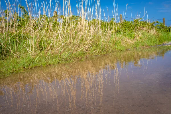 Landskap Vid Fermoyle Dingle Peninsula Kerry Irland — Stockfoto