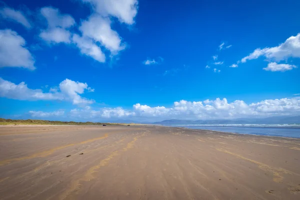 Inch Beach Dingle Félszigeten Kerry Írország — Stock Fotó