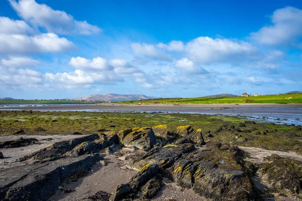 Παραλία Ακτή Ballycarberry Castle Kerry — Φωτογραφία Αρχείου