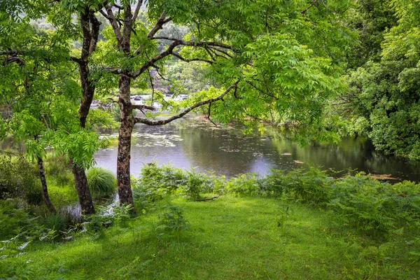 Black Valley Bergen Grevskapet Kerry Irland — Stockfoto