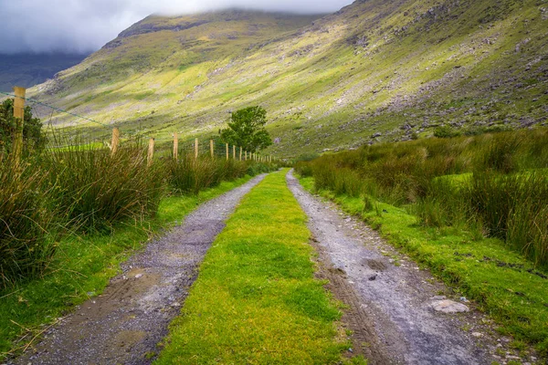 Czarna Dolina Górach Hrabstwa Kerry Irlandia — Zdjęcie stockowe