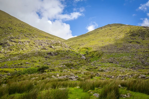 Black Valley Nas Montanhas County Kerry Irlanda — Fotografia de Stock